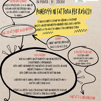 POMERIGGI IN FATTORIA PER RAGAZZI!