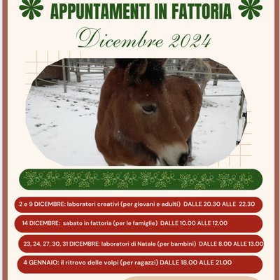 ATTIVITÀ DICEMBRE 2024