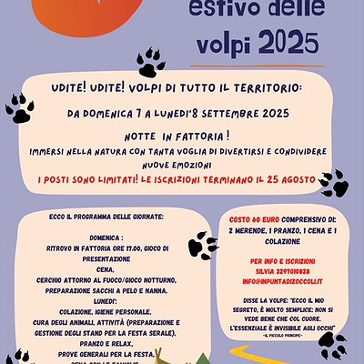 IL RITROVO ESTIVO DELLE VOLPI